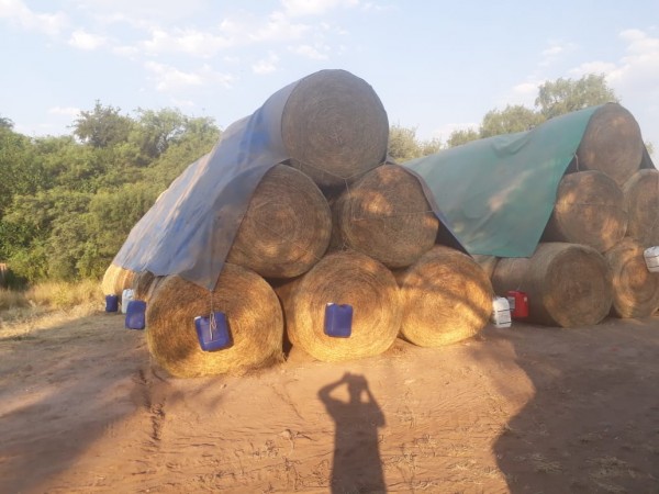 VENTA EXCELENTE CAMPO GANADERO MIXTO CON RIEGO EN CRUZ DEL EJE (CBA)