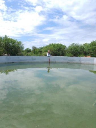 VENTA EXCELENTE CAMPO GANADERO MIXTO CON RIEGO EN CRUZ DEL EJE (CBA)