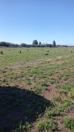 VENTA EXCELENTE CAMPO GANADERO MIXTO CON RIEGO EN CRUZ DEL EJE (CBA)
