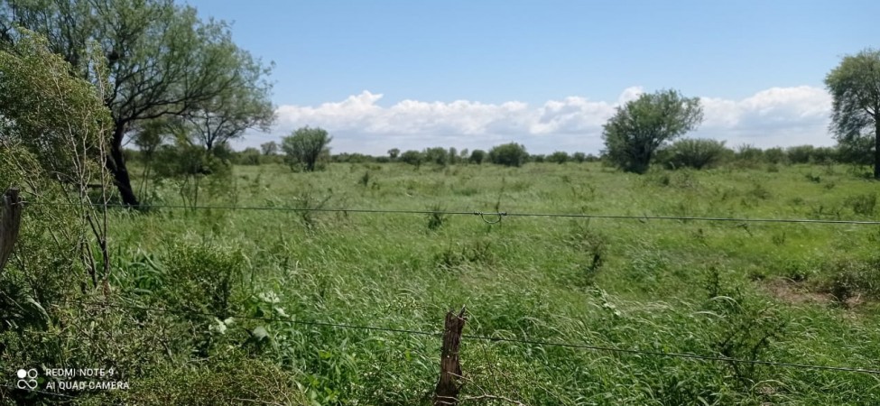VENTA EXCELENTE CAMPO GANADERO MIXTO CON RIEGO EN CRUZ DEL EJE (CBA)