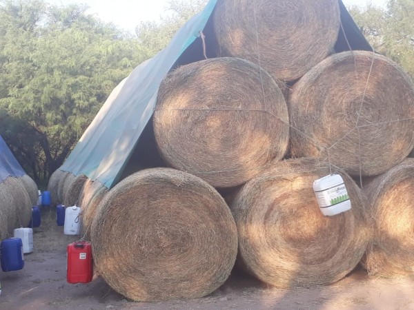 VENTA EXCELENTE CAMPO GANADERO MIXTO CON RIEGO EN CRUZ DEL EJE (CBA)